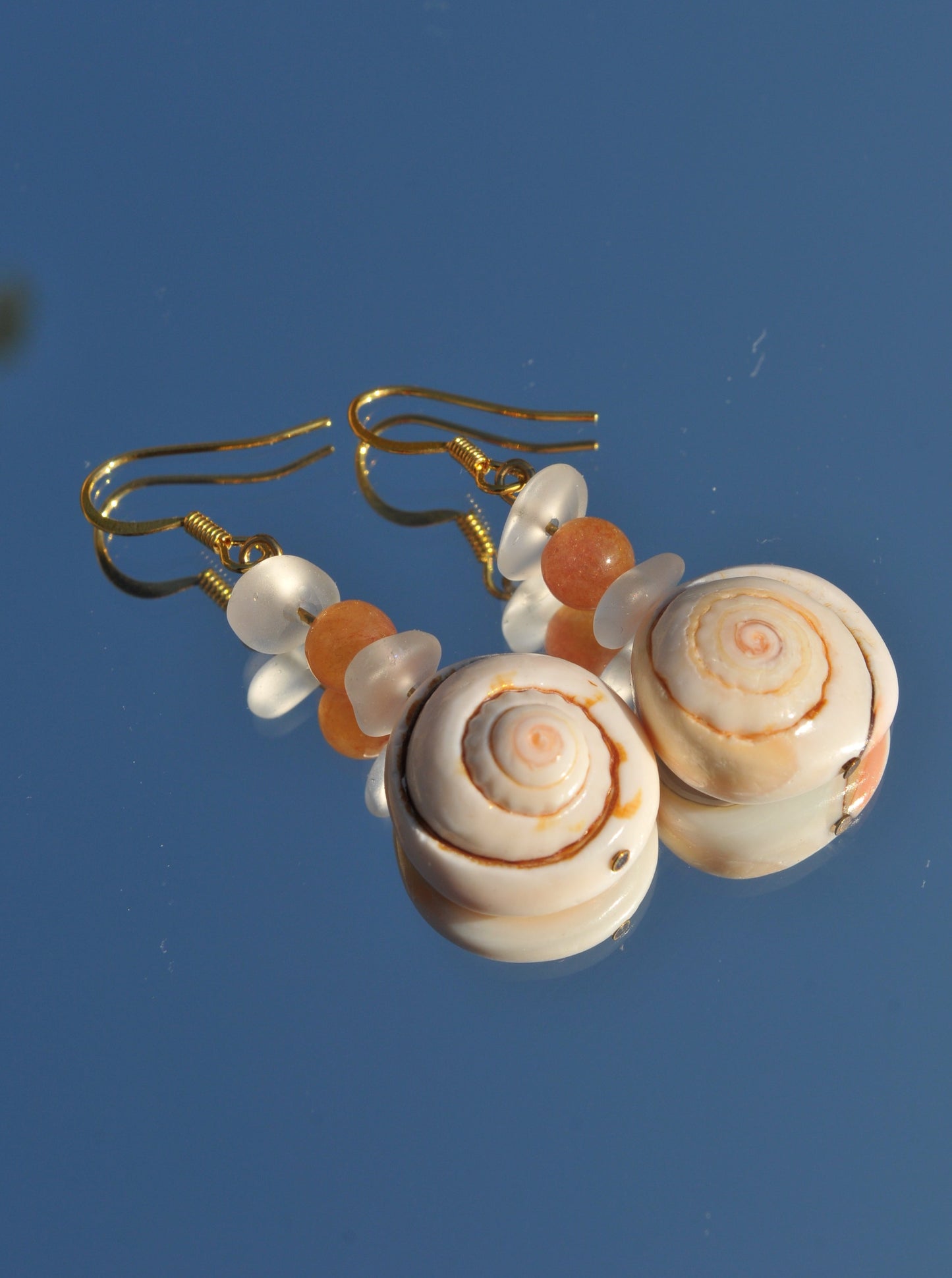 Spiral slice shell earrings