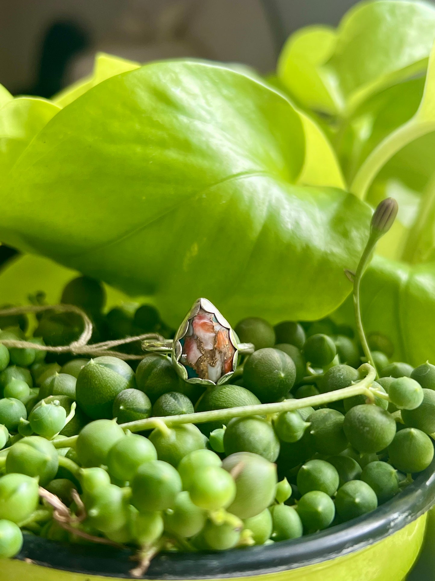 Orange oyster simple ring - size 9