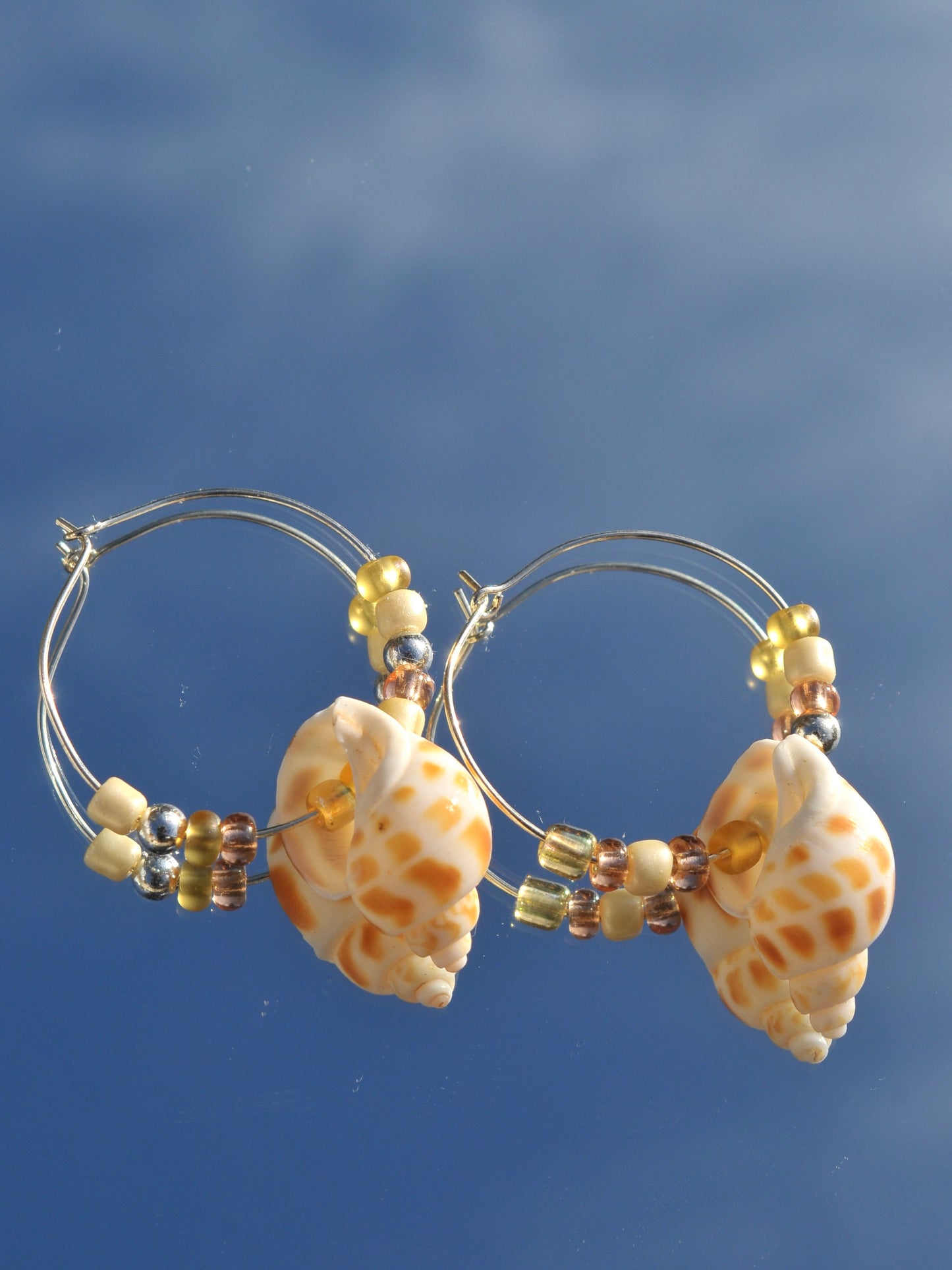 Silver spotted conch earrings
