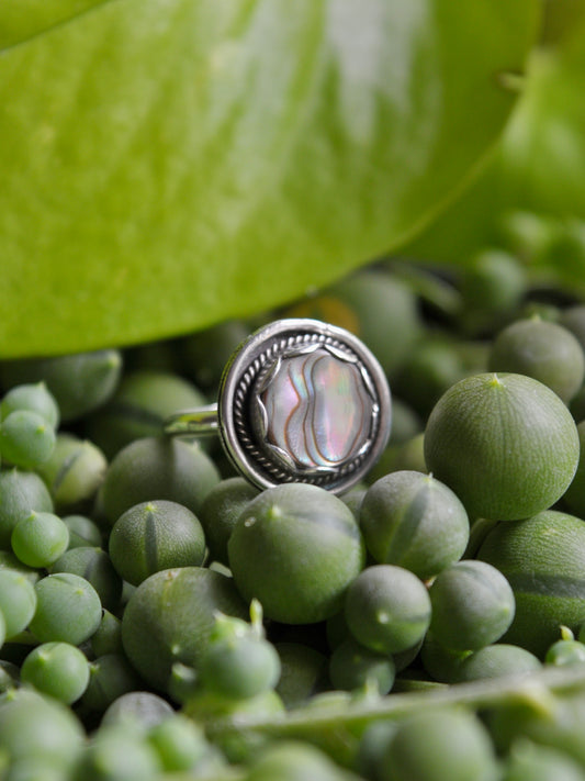 Abalone circle ring - size 5.5