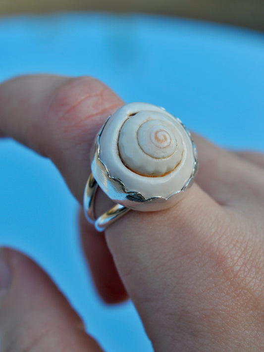 Spiral shell ring